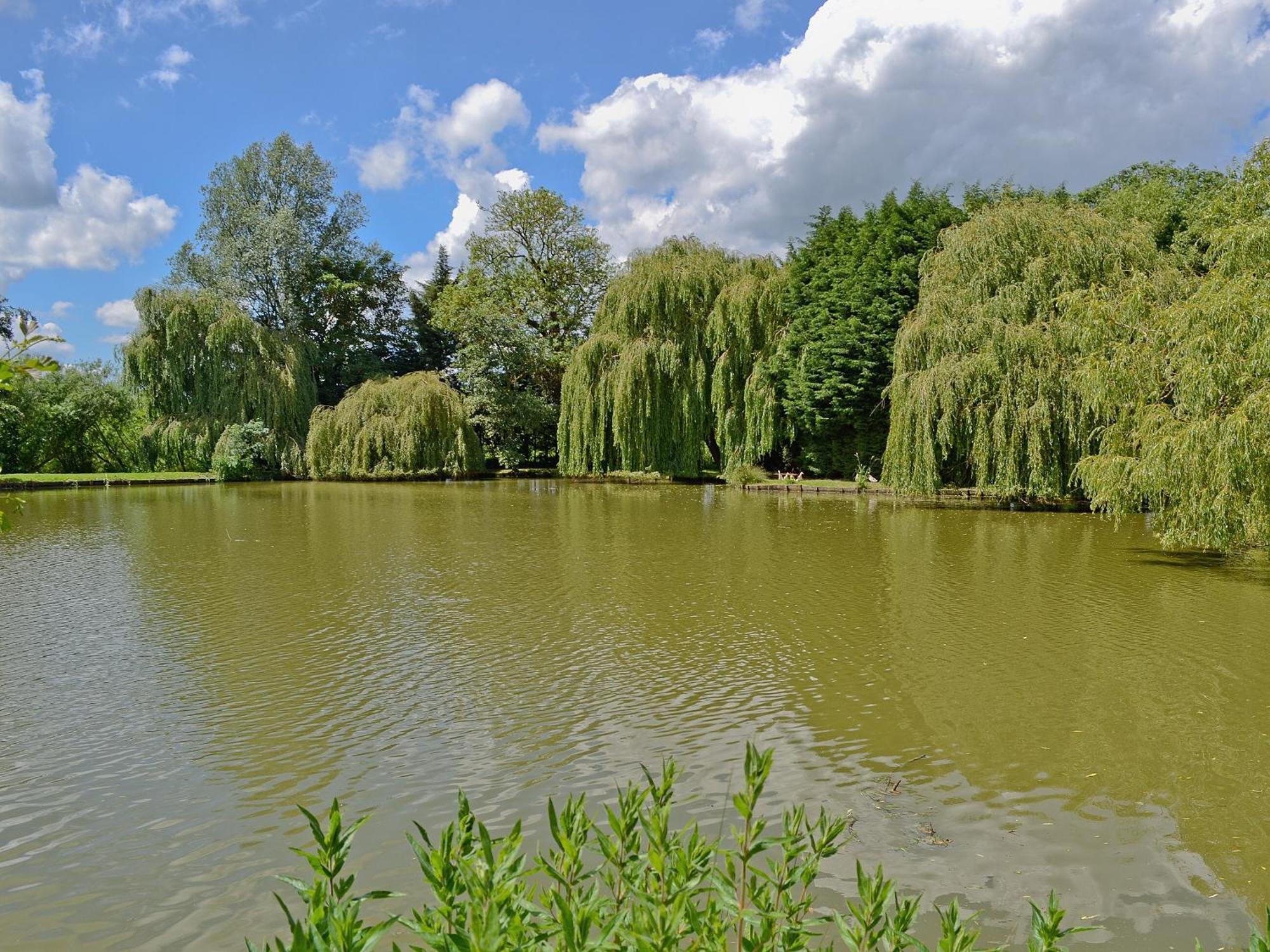 Lake House Cottage Finchingfield Exteriör bild